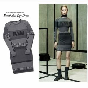 Alexander Wang & H&M Dress